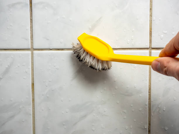 Best Health and Safety Mold Remediation in Richland, MO
