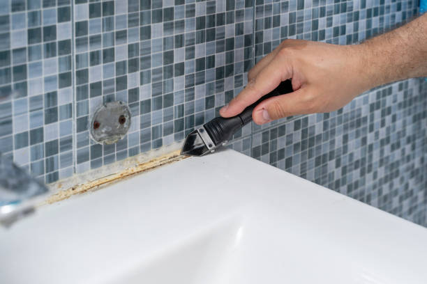 Best Mold Testing and Inspection Services in Richland, MO