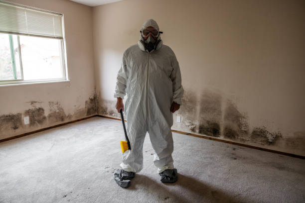 Best Emergency Mold Remediation in Richland, MO
